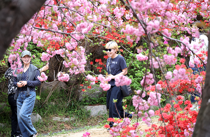 완산칠봉 꽃동산