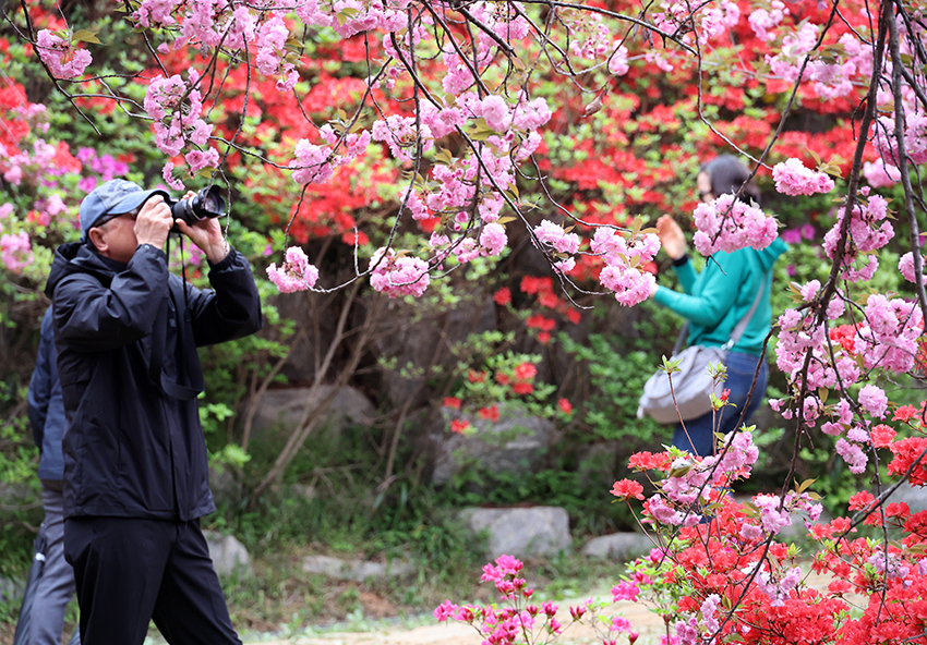 완산칠봉 꽃동산