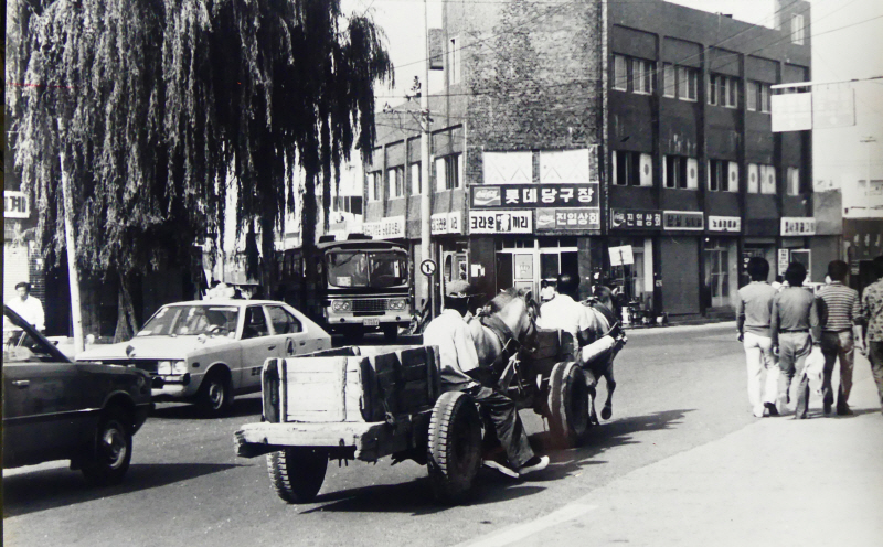 시청 옆 오거리