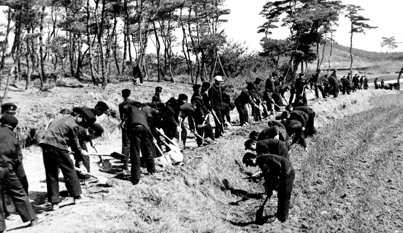 덕진동 대지마을 식목일