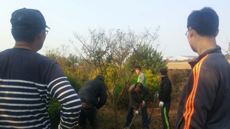 11월6일(호성동)전주생생마을만들기, 호성동 신중마을 주민들 나무심기에 구슬땀 흘려2.jpg