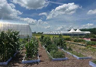 도시농업 체험농장