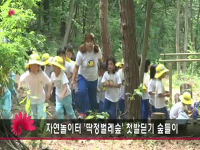 자연놀이터딱정벌레숲첫발딛기숲들이